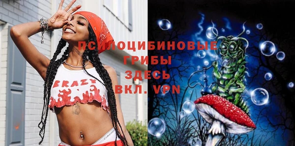 MESCALINE Каменка