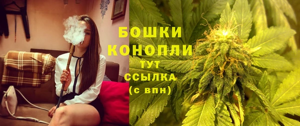 MESCALINE Каменка