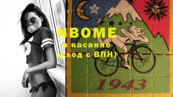 соль ск Каменногорск