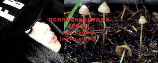 мдма Карпинск