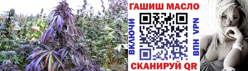 Купить где Певек ТГК гашишное масло